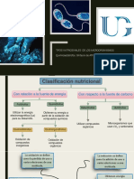 Síntesis de ATP y Poder Reductor Por Quimioautótrofos