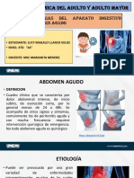 Abdomen Agudoexpo Clinica