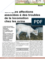 Quelques Affections Associées À Des Troubles de La Locomotion Chez Les Ovins