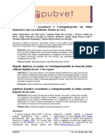 Colangiohepatitis Lipidiosis Caso