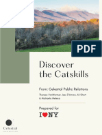 Discover The Catskills Proposal Final 1