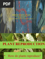 Plant Reproduction