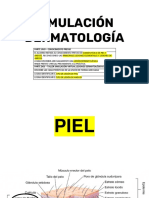 Diapositivas Finales de Piel PDF