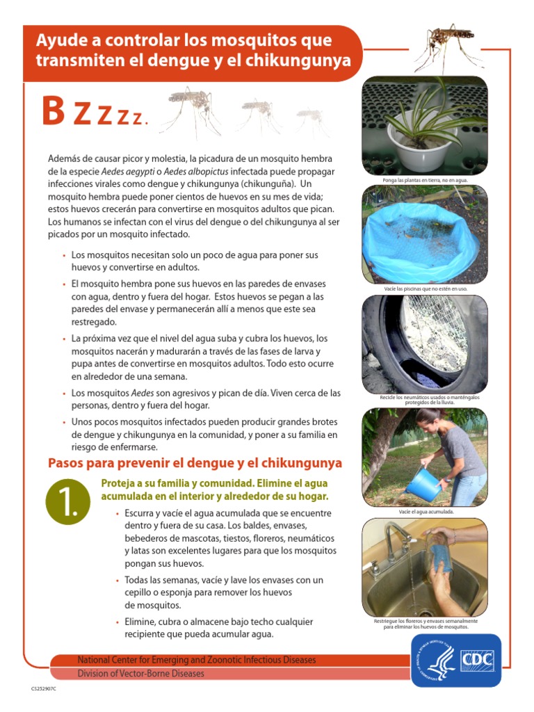 Mosquito Control Dengue Chik Spanish PDF