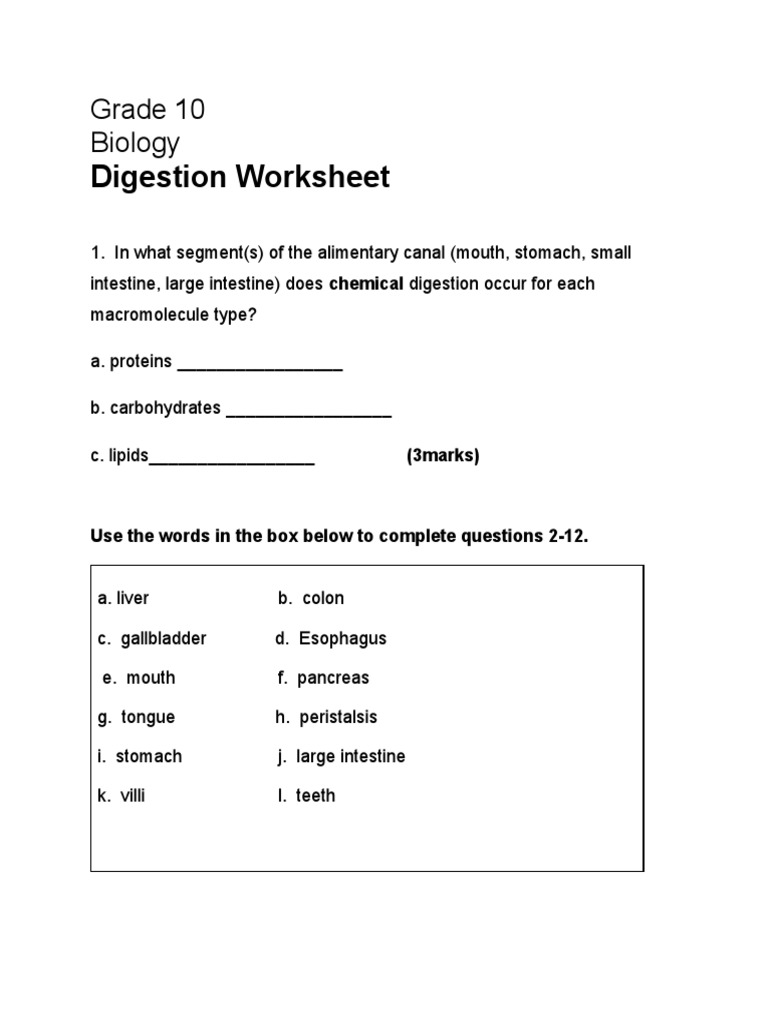 Digestion Worksheet Grade 10 PDF Digestion Gastrointestinal Tract