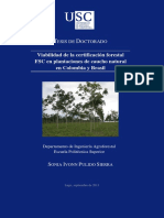 Viabilidad de La Certificación Forestal FSC en Plantaciones de Caucho Natural en Colombia y Brasil