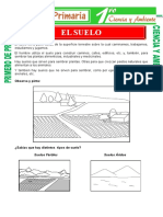 El Suelo Niño Sesion