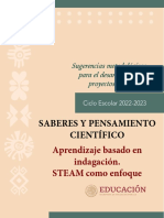 Saberes y Pensamientos Cientificos Proyecto Steam