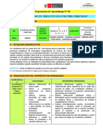 1er Grado - EXPERIENCIA - N°06