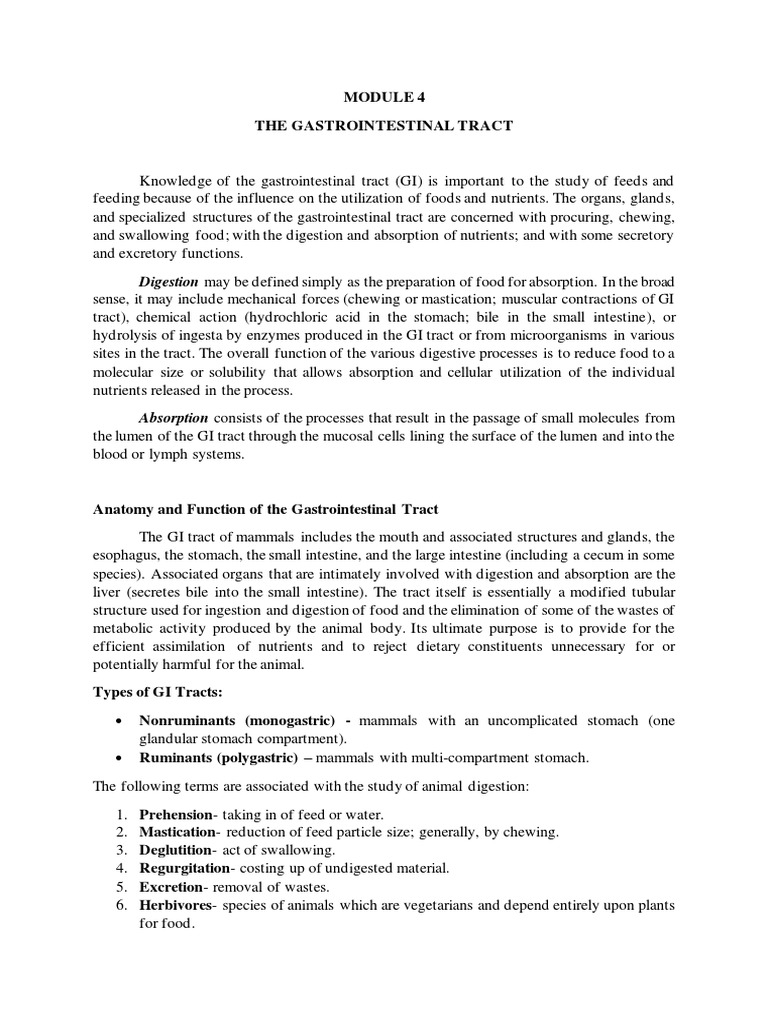 Animal Nutrition and Feeding PDF Digestion Human Digestive System