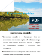 Ecossistemas Marinhos