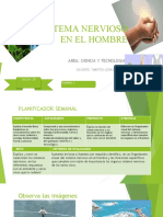 Sistema Nervioso en El Hombre: Area: Ciencia Y Tecnologia