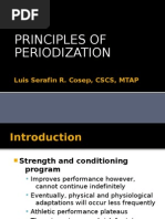 Periodization Report