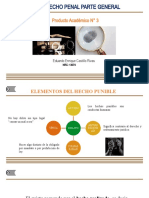 Pa3 - Derecho Penal Parte General - Eecr