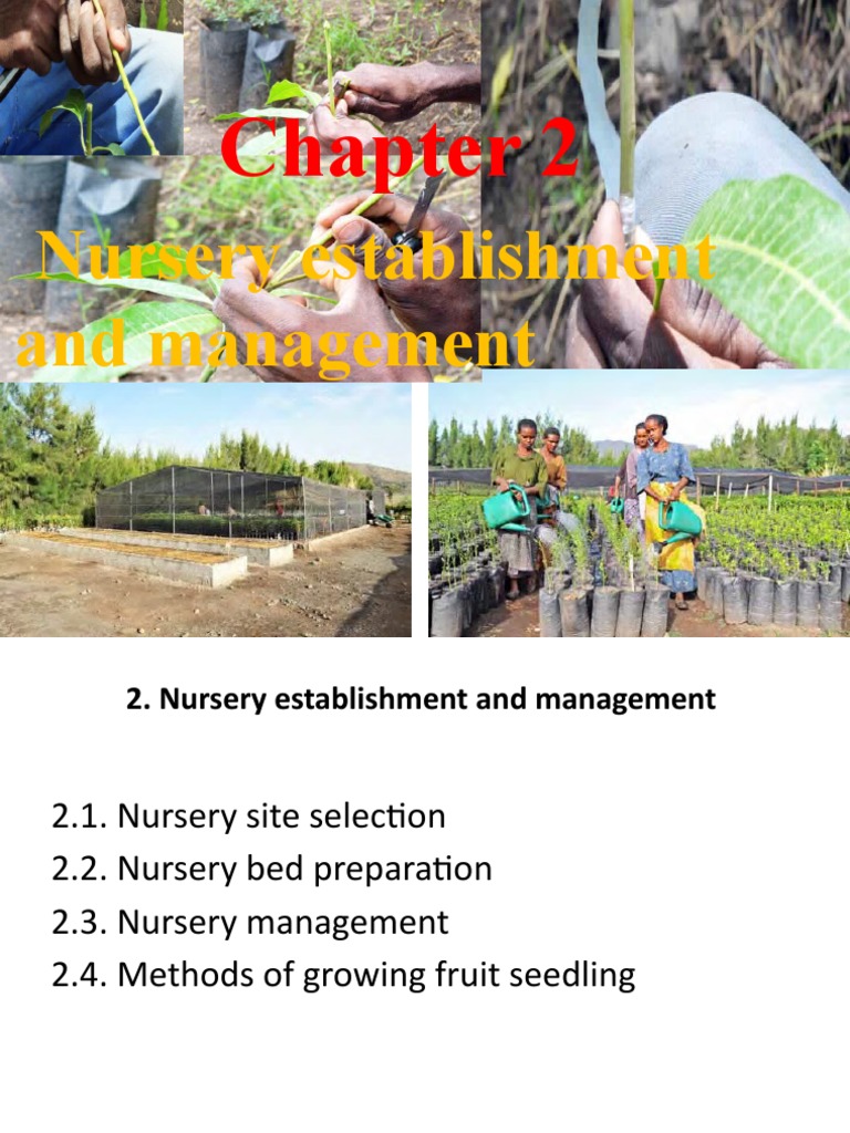 Nursery Establishment and Management A Guide to Selecting Nursery