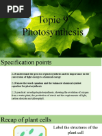 PHOTOSYNTHESIS-Student Worksheet (With Answers) | PDF | Photosynthesis |  Biochemistry