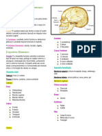 Organização Do Corpo Humano. EM