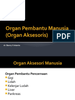 Organ Pembantu