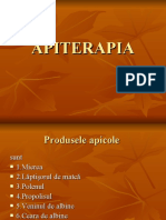 Apiterapia