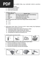 Ipa 5