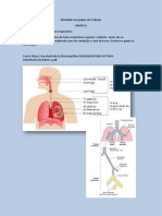 Sistema Respiratório Rotação Por Estações PDF
