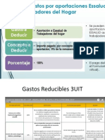 Presentacion Gastos Reducibles