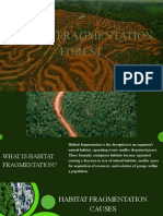 Habitat Fragmentation: Forest