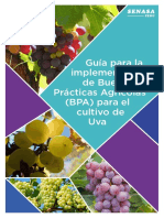 Guía BPA Uva PDF