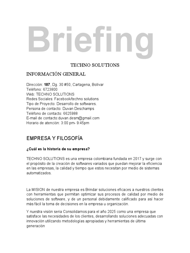 BREIFING PDF Software Business