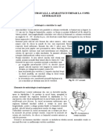 Urologie 1