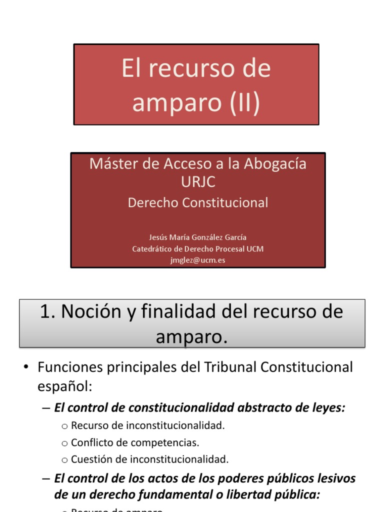 El Recurso de Amparo (II) Causas de Inadmisibilidad | PDF | Ciencias ...