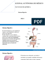 Sistema digestivo (generalidades)