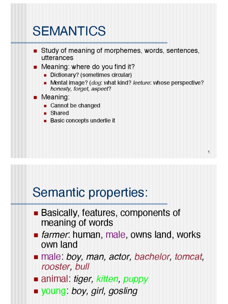 Understanding Meaning: An In-Depth Exploration of Semantics, Speech ...
