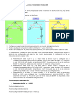 Laboratorio Redistribución