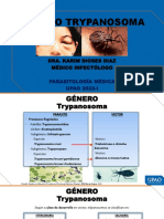 Dra. Dioses PPT Teoria Sem 5 Parasitologia Medica