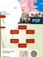 Senescenta Sistemului-Osteoarticular