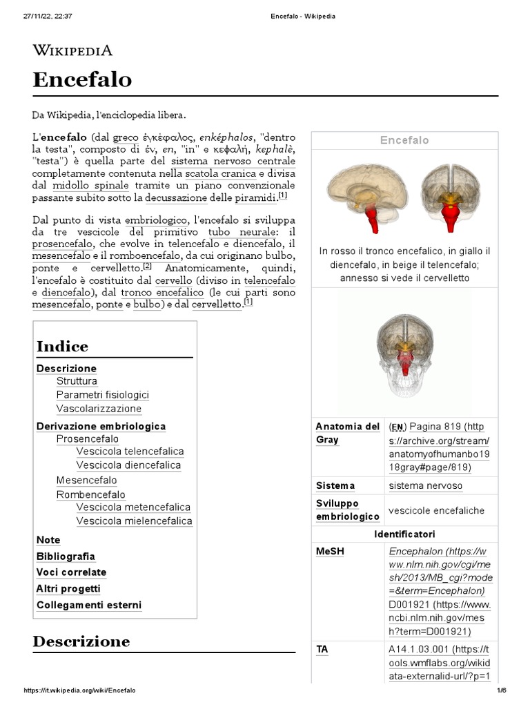 Encefalo Wikipedia PDF