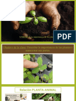 Importancia de las plantas: partes y funciones en