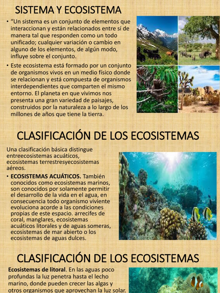 Clasificación de Ecosistemas Terrestres y Acuáticos | PDF | Ecosistema ...