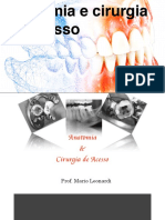 Anatomia e cirurgia de acesso: estruturas dentárias e orientações para tratamento endodôntico