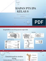 IPA Kelas 8 Tentang Sistem Gerak Manusia