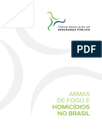 Informe Brasileiro de Segurança Publica