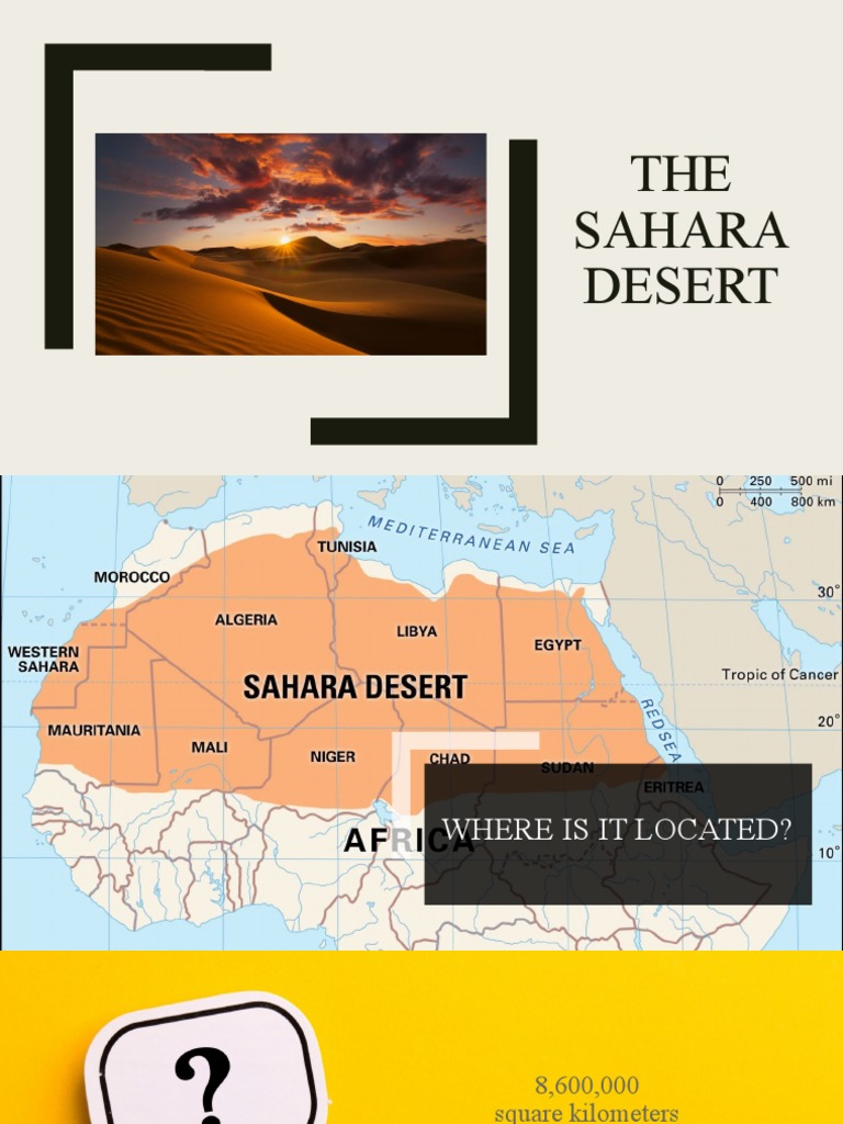 Desert | PDF