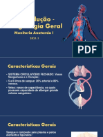Introdução - Angiologia Geral - 210927 - 202142