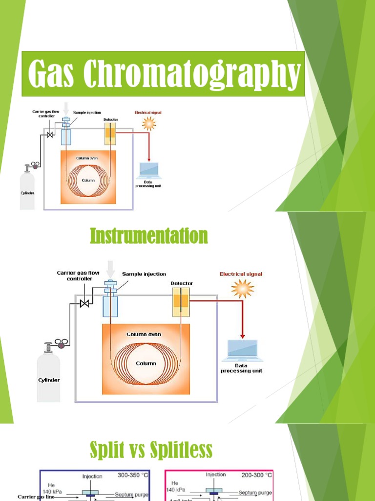 An InDepth Look at Gas Chromatography Instrumentation Components