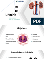 Disfunções do Sistema Urinário