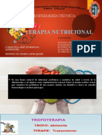 Terapia Nutricional Hecho-1
