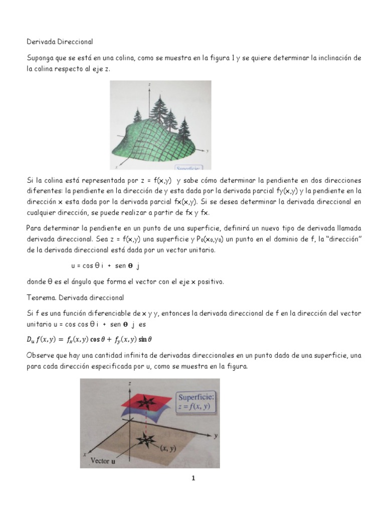 derivada-direccional-y-gradiente-descargar-gratis-pdf-degradado