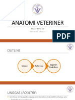 ANATOMI VETERINER D3 - Osteologi Unggas
