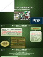 Calidad Ambiental (Monitoreo Ambiental)